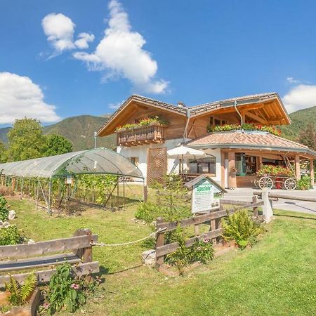 B&B Dalla Fattoria Della Patty Pieve Di Ledro Bagian luar foto