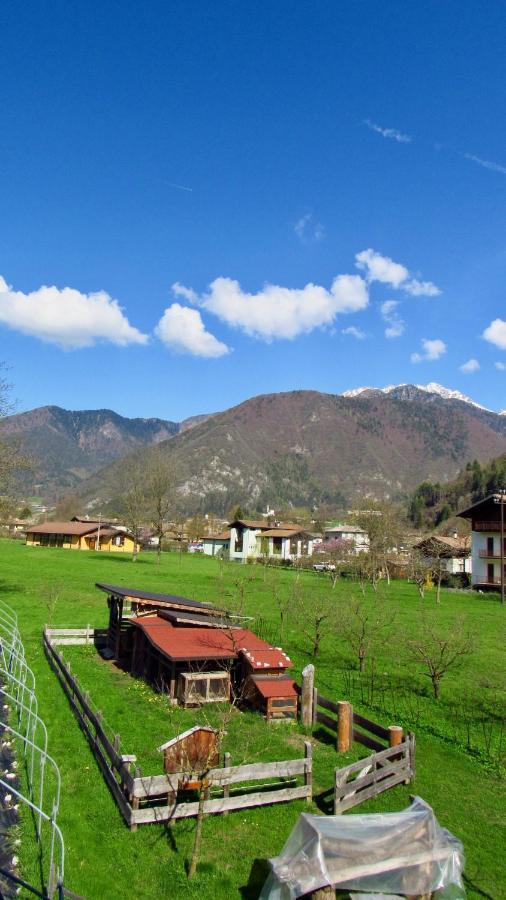 B&B Dalla Fattoria Della Patty Pieve Di Ledro Bagian luar foto